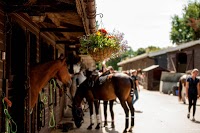 Ham Polo Club 1090562 Image 2